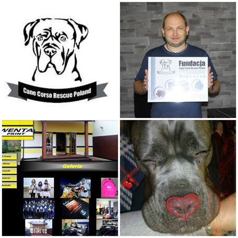 Podziękowania dla Firmy Wenta Print <3